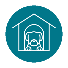 Extend Icons Clear Background 03