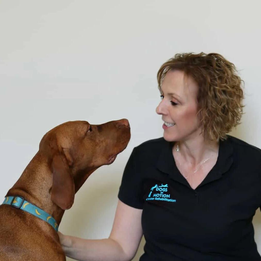 Michelle Monk Canine Physiotherapist With Max The Vizsla