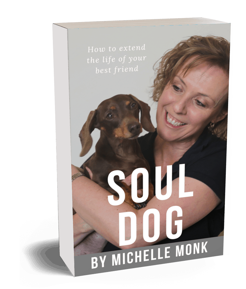Michelle Monk Soul Dog Book Cover In 3d