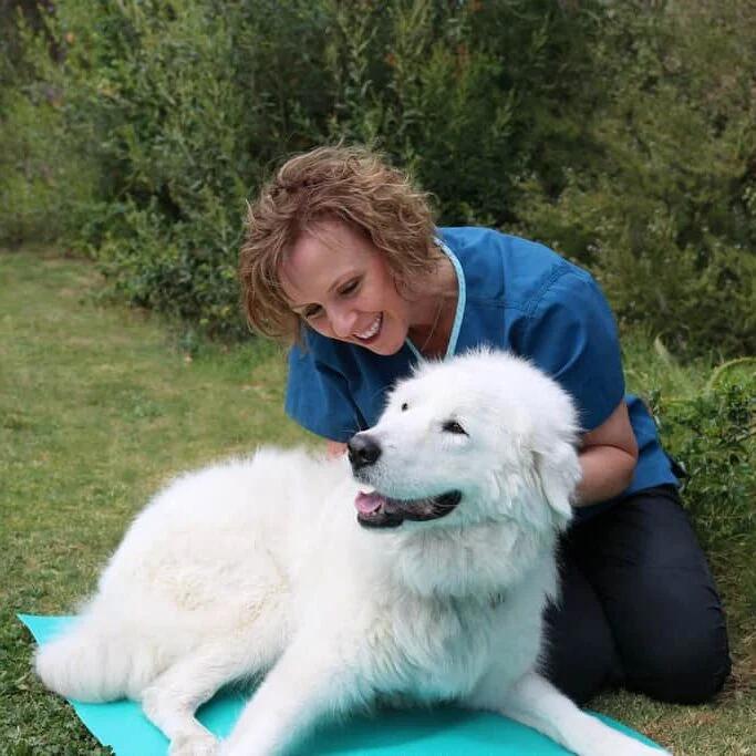 Michelle Monk Treating Large White Dog